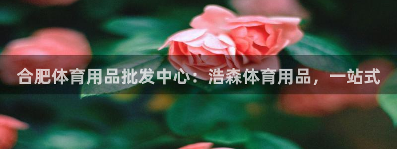 欧陆娱乐怎么注册账号啊:合肥体育用品批发中心:浩森体育用品,