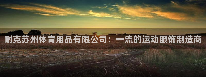 欧陆娱乐平台登录不上:耐克苏州体育用品有限公司:一流的运动服