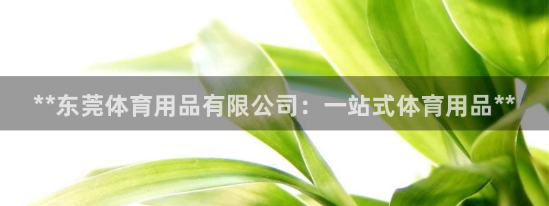 欧陆娱乐稳中:**东莞体育用品有限公司:一站式体育用品**