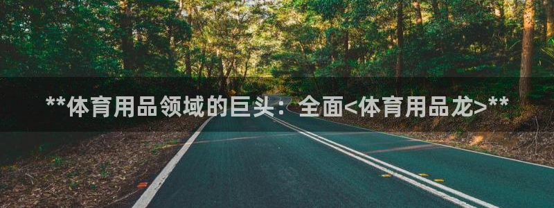 欧陆娱乐代理 贴吧官网:**体育用品领域的巨头:全面<体育用