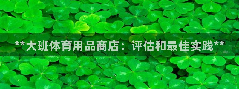 欧陆娱乐的故事有哪些:**大班体育用品商店:评估和最佳实践*