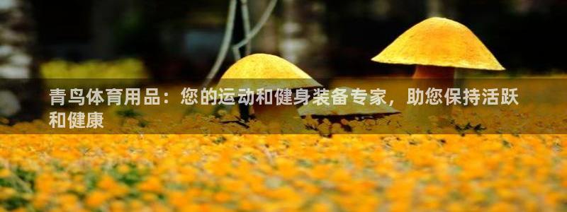 欧陆娱乐是正规平台吗安全吗可信吗:青鸟体育用品:您的运动和健